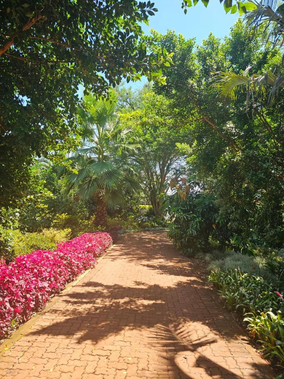Tzaneen White House Lodge Екстериор снимка