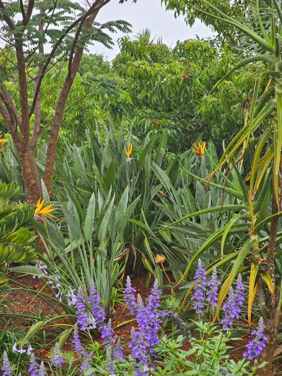 Tzaneen White House Lodge Екстериор снимка