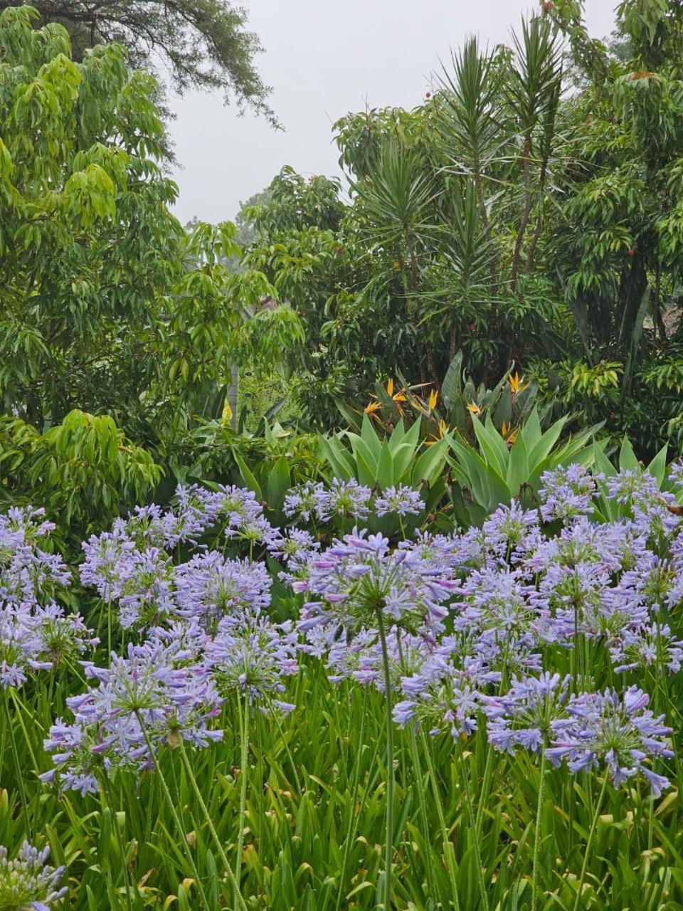 Tzaneen White House Lodge Екстериор снимка
